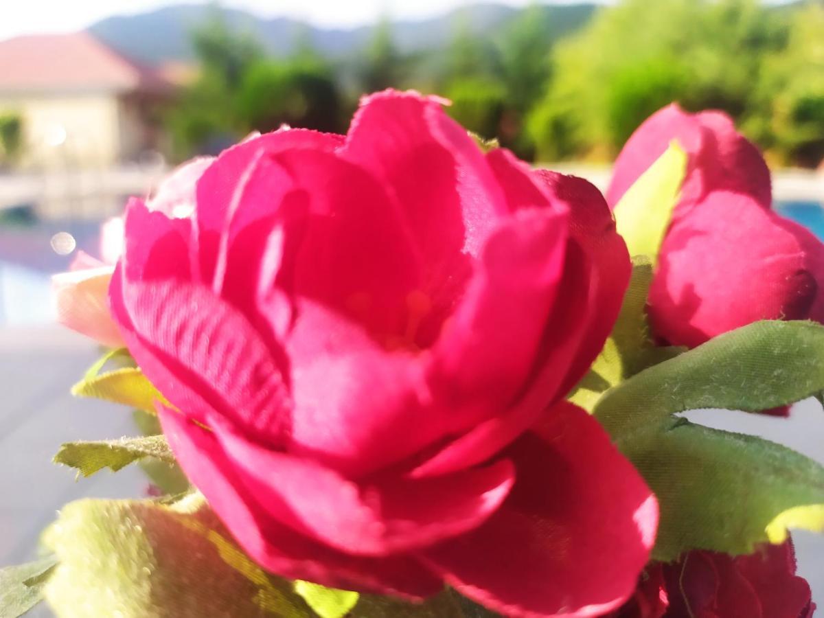 Bliss Hotel Габала Экстерьер фото