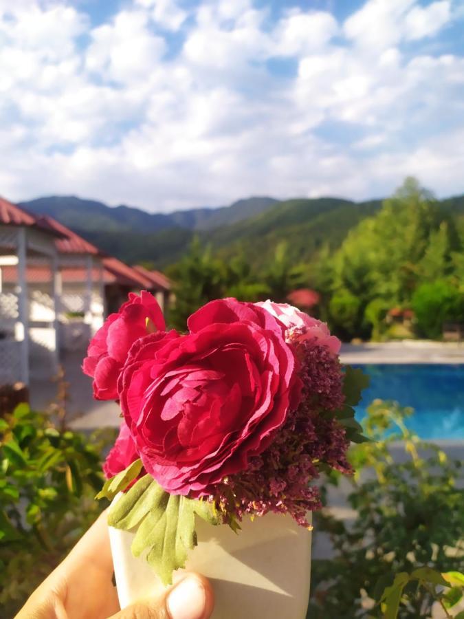 Bliss Hotel Габала Экстерьер фото
